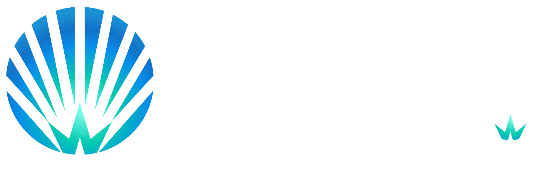 鷗維數(shù)據(jù)云查詢(xún)平臺(tái)